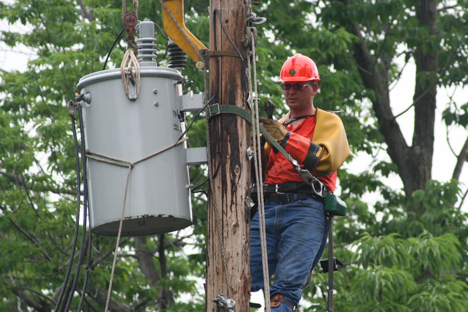 A lineman in a hard hat and harness works on a pole-mounted transformer